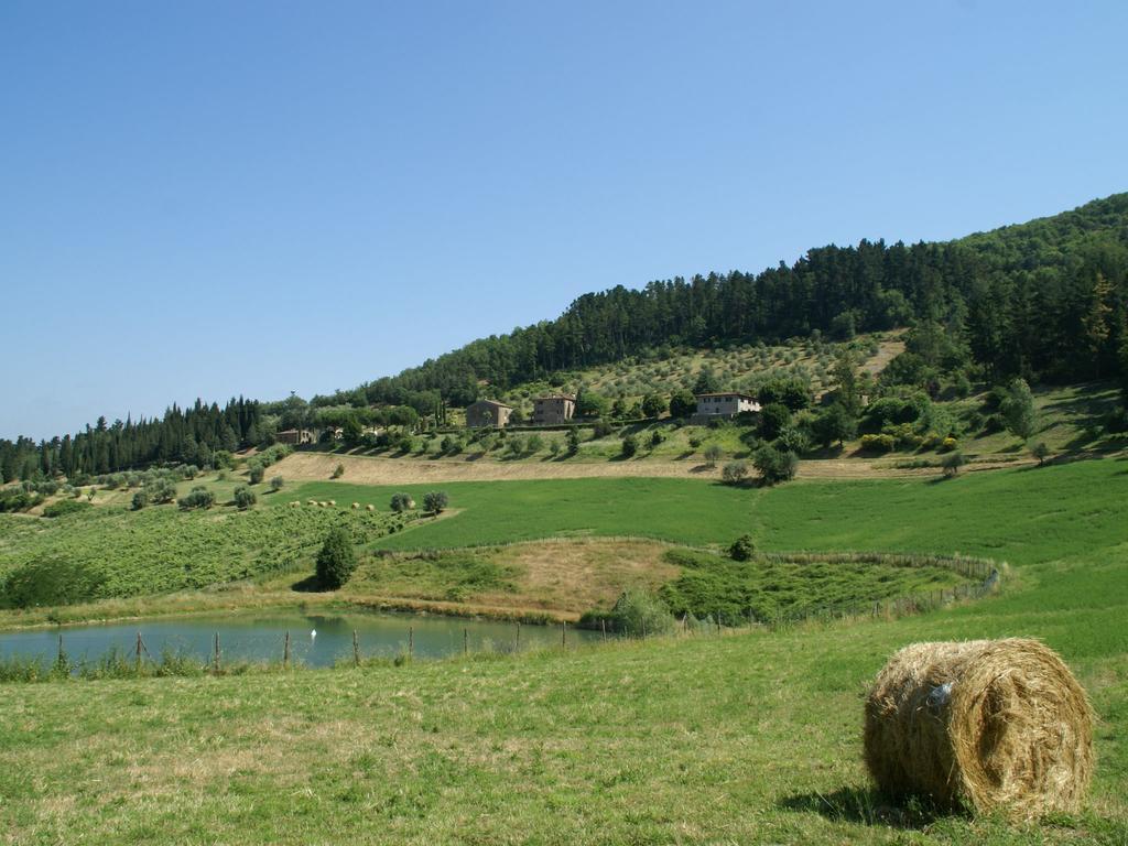 فيلا Serene Farmhouse In Dicomano With Swimming Pool المظهر الخارجي الصورة